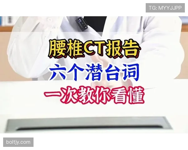 一次看懂八秒违例的判罚依据与实战应对技巧